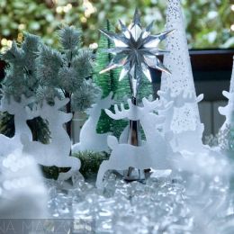 fullsizeoutput_2a39.