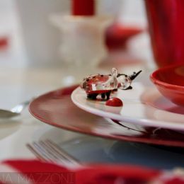 Tavola bianco e rosso