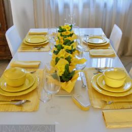 Tavola primule gialle